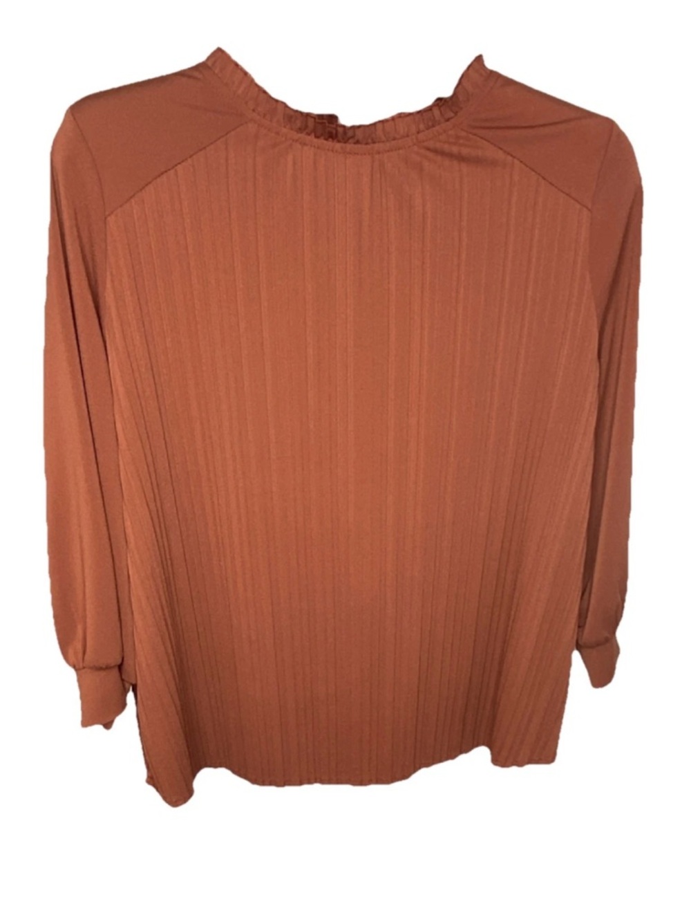 Adrianna Papell Rust-Colored Pleated Long-Sleeve Blouse
